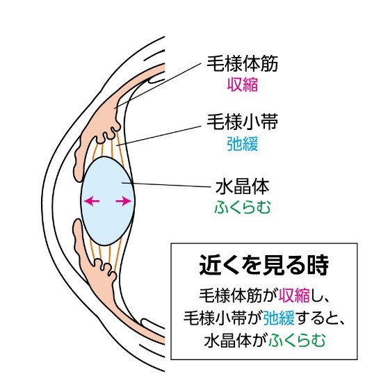 見え方